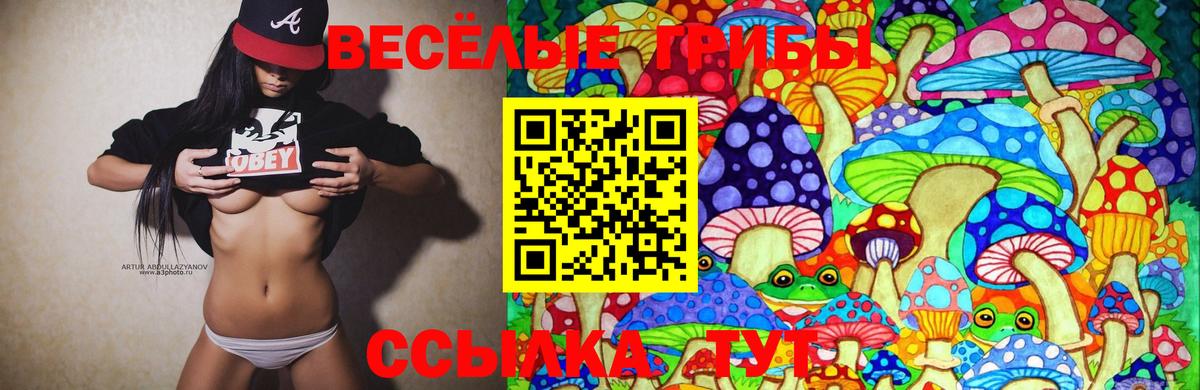 Галлюциногенные грибы Psilocybine cubensis  Вход с VPN  Люберцы 